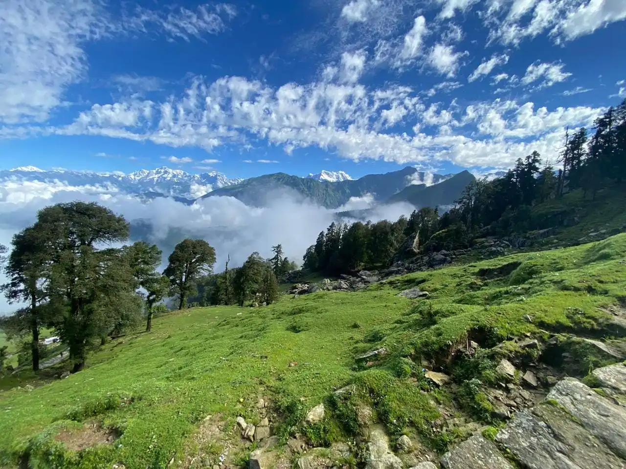 Chopta, Tungnath Trek Package from Delhi