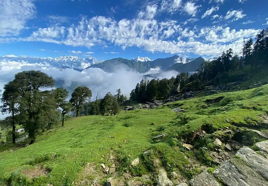 Chopta, Tungnath Trek Package from Delhi