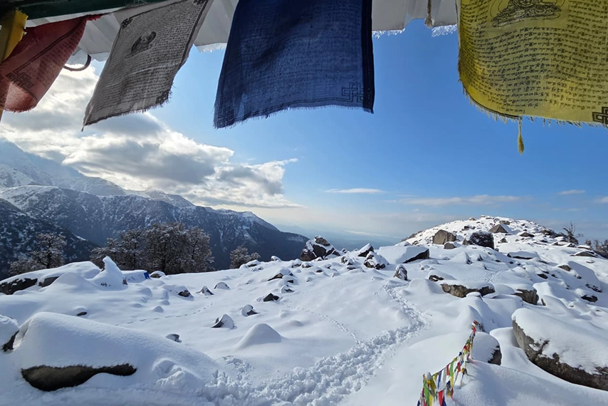triund-trek-fresh-snow