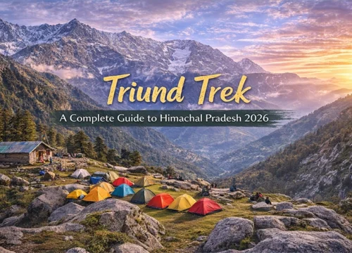 Triund Trek: A Complete Guide to Himachal Pradesh’s Mini Switzerland