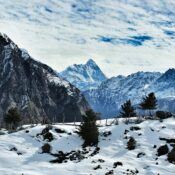 auli-tour-package-delhi