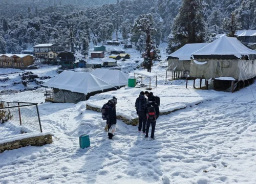 Chopta Trekking Package | Tungnath & Chandrashila Trek