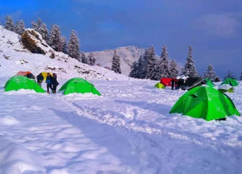 Kuari Pass Trek Package A Real Travel Story from the Himalayas