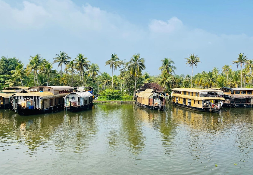 Classic Kerala Family Package – Munnar, Thekkady & Alleppey (5N/6D)