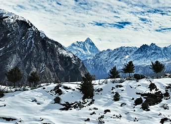 auli-blog