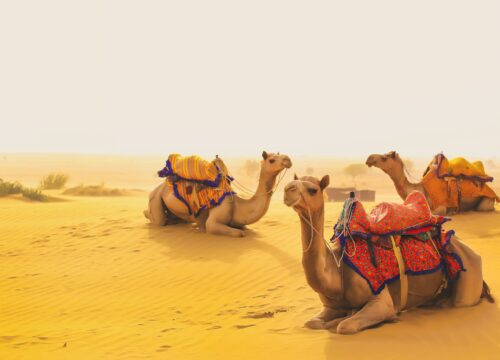 Jaisalmer Desert Safari & Jodhpur Tour Package 4N/5D