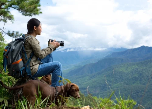 Winter Tour Package of Uttarakhand | Rishikesh, Chopta, Tungnath, & Kartik Swami