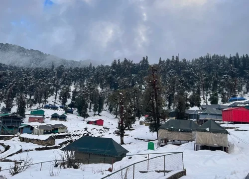 Group Tour vs Private Chopta Tungnath Trek Package – A Local Guide Before You Book