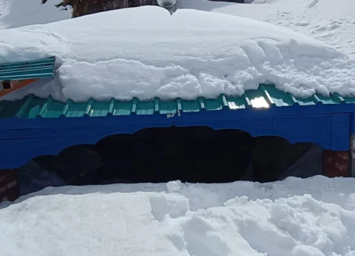 Chopta Camping Package | Himalayan Campsite Stay