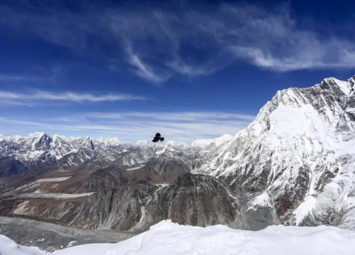 Chopta Weekend Tour Package | 3-Day Himalayan Getaway