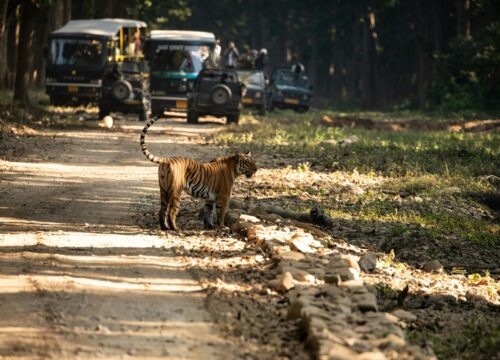 Nainital Jim Corbett Tour Package from Delhi