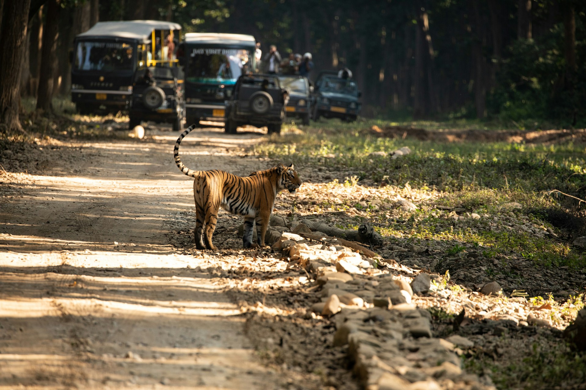 Nainital Jim Corbett Tour Package from Delhi