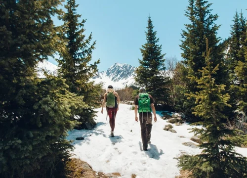 Kuari Pass in Winter vs Summer Best Kuari Pass Trek Package 2025