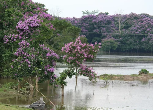 Majuli, Sivasagar & Kaziranga – 6 Days Tour Package