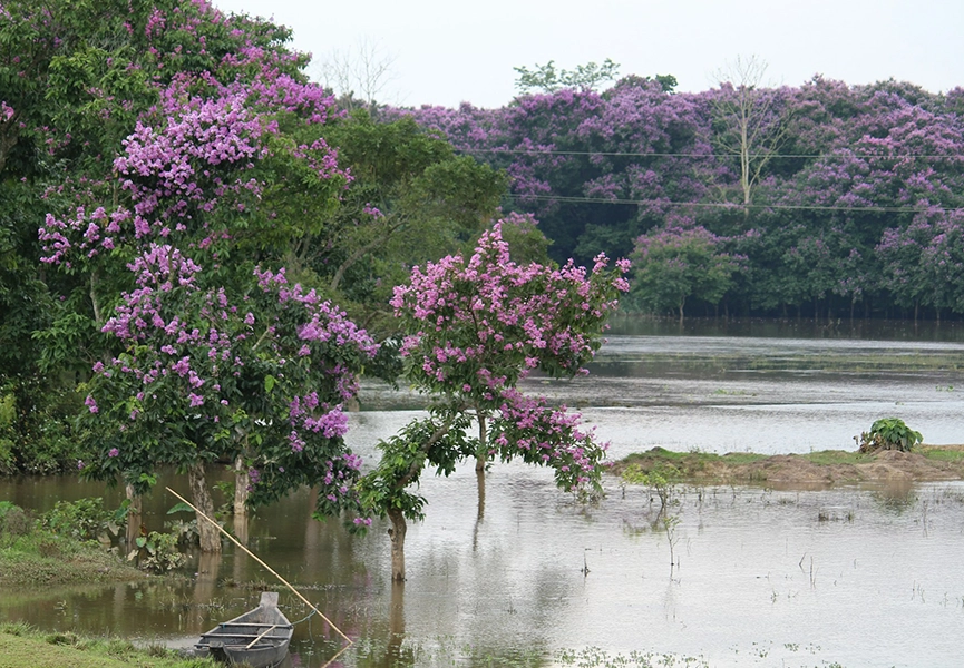 Majuli, Sivasagar & Kaziranga – 6 Days Tour Package