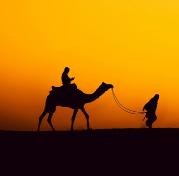 Fort Palaces, Adventure & Safari
