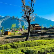 ranikhet