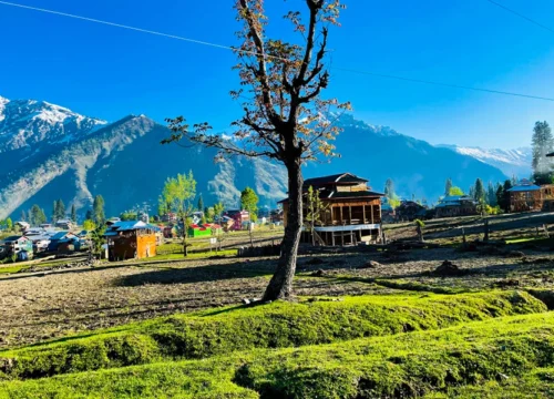 Ranikhet Tour Package My Diary from the Queen’s Meadow<br><br>