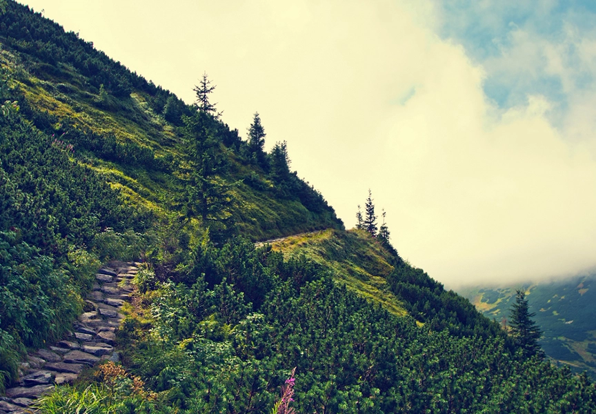 ranikhet-uttarakhand