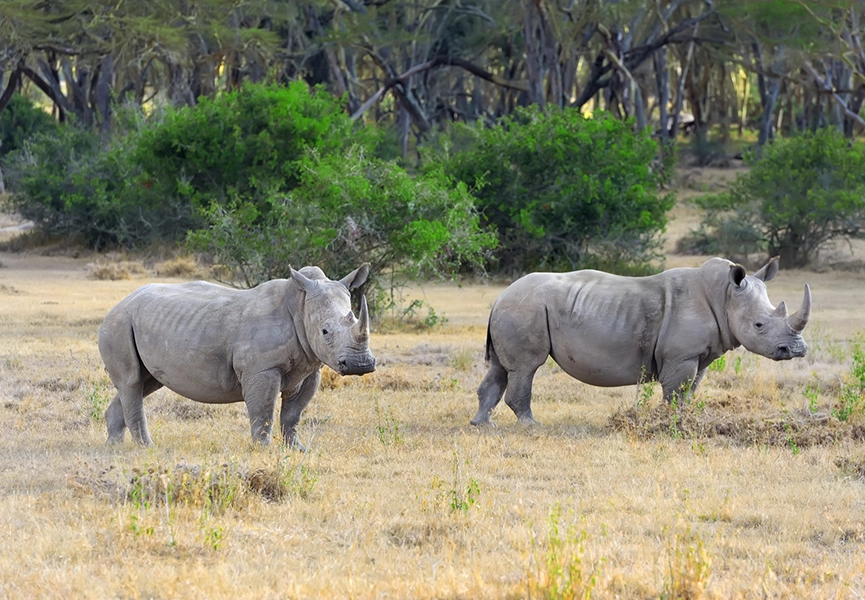 Assam, Meghalaya & Arunachal Tour Package – 10 Days