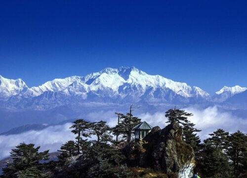 Chopta Tour Package from Rishikesh – Real Traveller Experience & Complete Guide