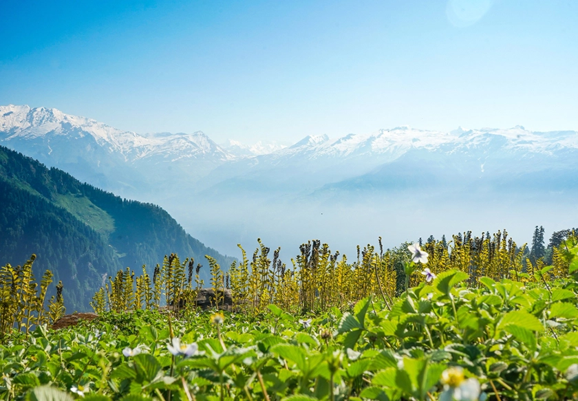 uttarakhand-honeymoon-tour