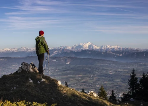 Rudranath Trek Package — A Real Journey with Rohit & Friends