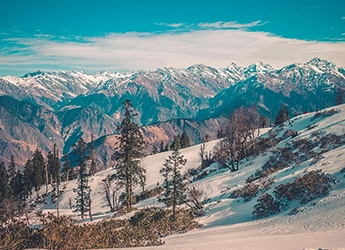 auli-auli