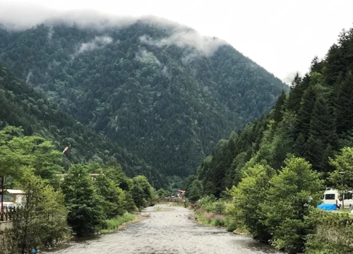 Dehradun Tour Package from Delhi – Easy 3-Day Trip with Travelophila