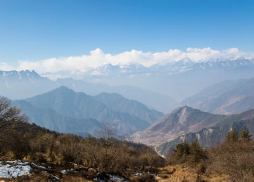 Dayara Bugyal Trek Package (4 Days) A Meadow Walk to Remember