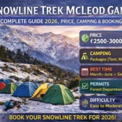 Snowline Trek Dharamshala