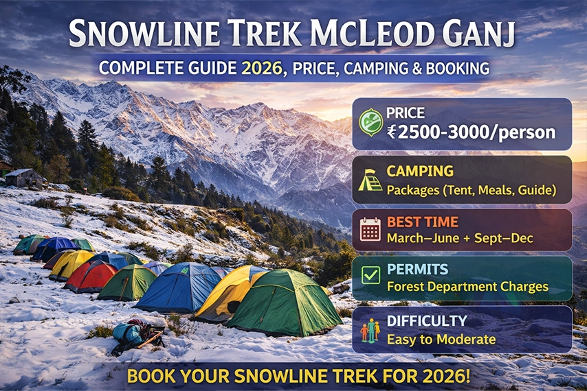 Snowline Trek Dharamshala