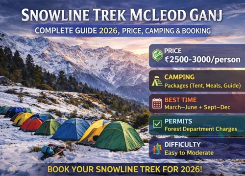 Snowline Trek McLeod Ganj Complete Guide, Price, Camping & Booking