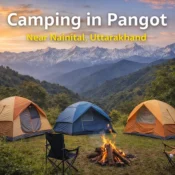 Camping in Pangot