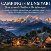 Camping in Munsiyari Uttarakhand