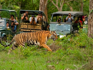 Nainital Kainchi Dham and Jim Corbett package from Delhi
