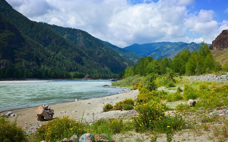 river-view